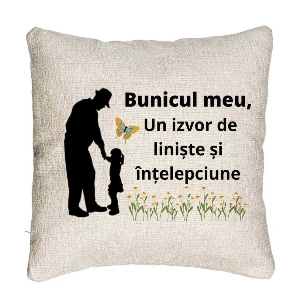 Perne Decorative Canapea
